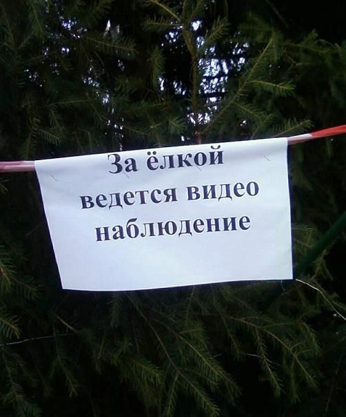 ёлки идем резать?