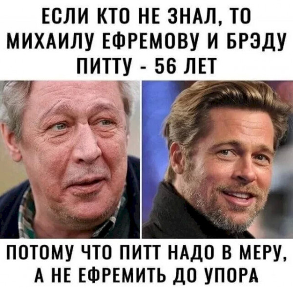 Идеальные жены!