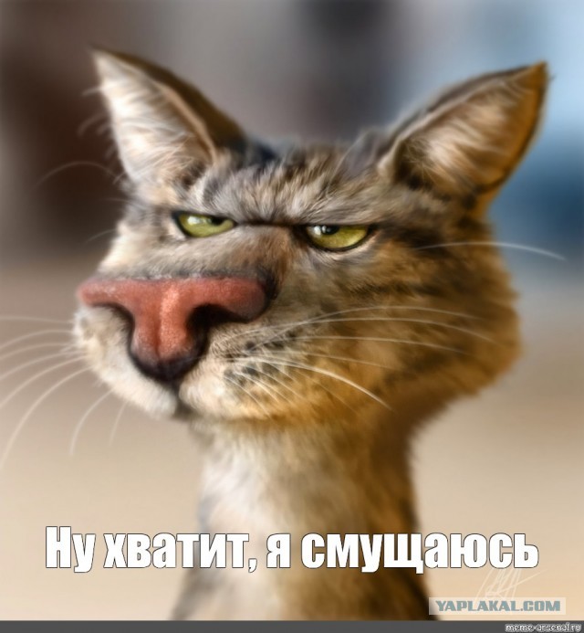 Бредзона 06.11.2020