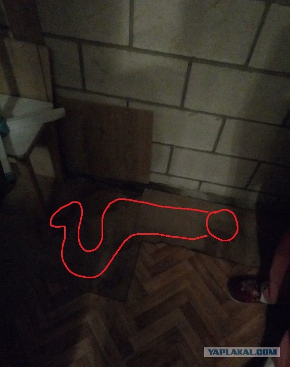 Кровь сверху
