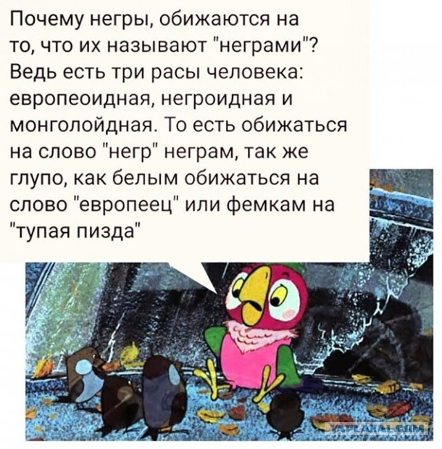 Картинки и мемы для настроения 017