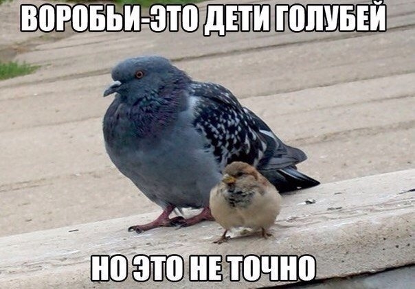 Так себе картинки 23.04.21