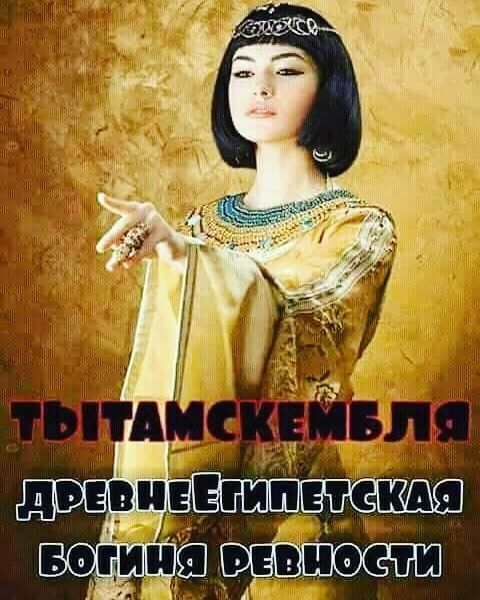 Весёлый полтишок 21.06.2021