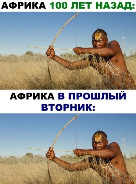 Весёлый полтишок 19.11.2021