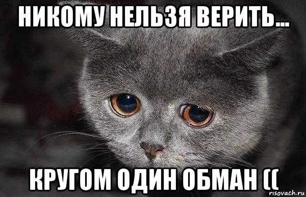 Враки-каки