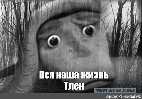 Хороший аттракцион