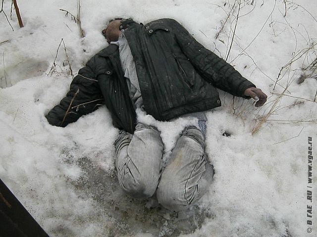Вот вам первые подснежники