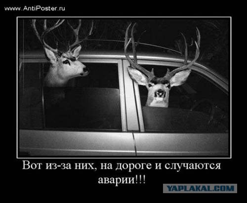 Междуреченск