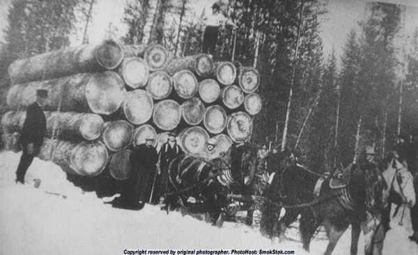 Фальшивая история человечества.