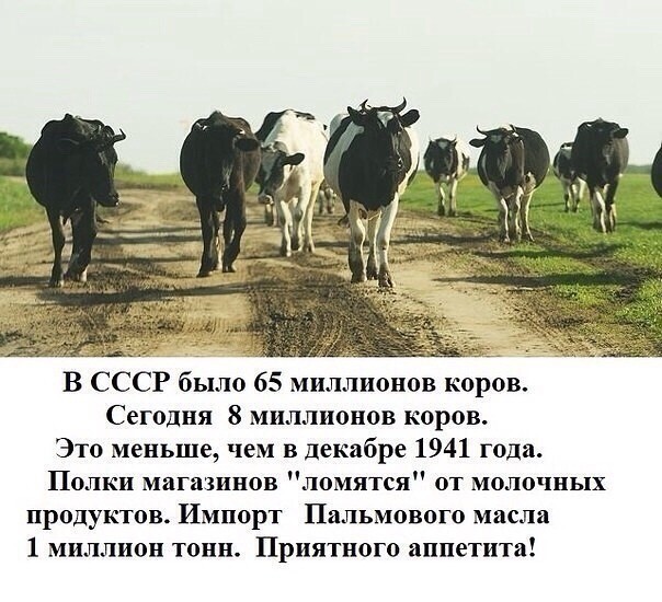 Почему зубная паста, мыло и тампоны в России стоят в разы дороже, чем за границей