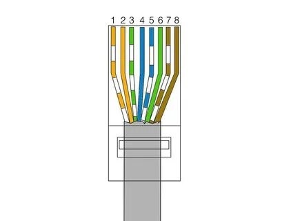 Чтобы помнить, как обжимать RJ-45?