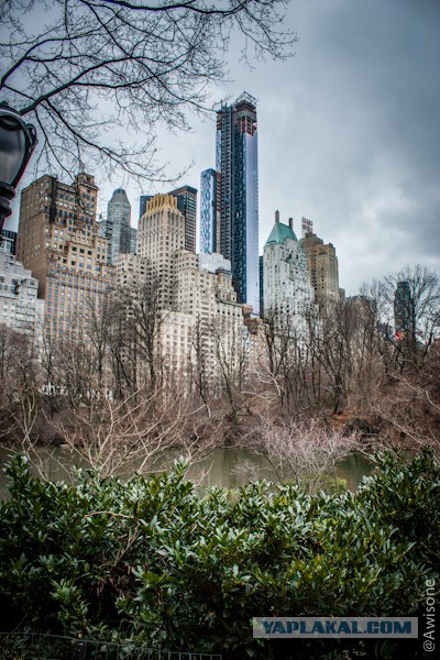Как я в NYC ездил.