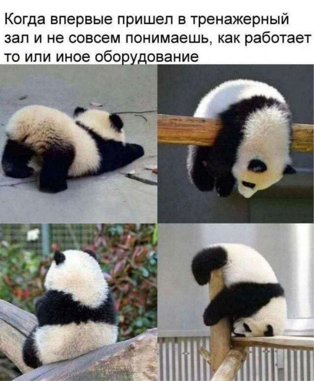 Картинки и мемы, всем хороших выходных