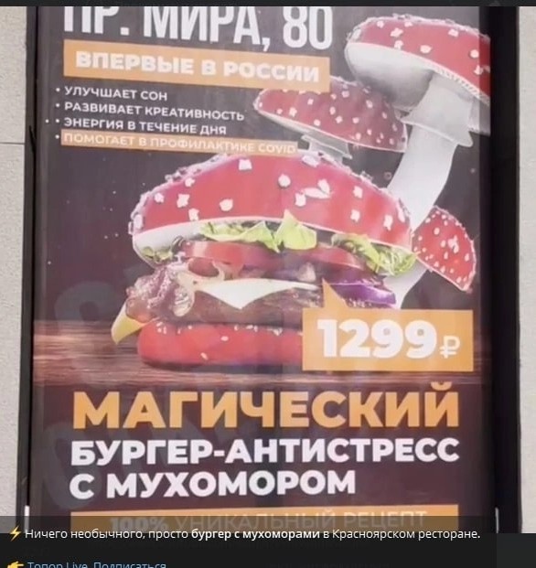 Чувак из Крыма, который выращивал галлюциногенные грибы, встретил полицейских с радостью