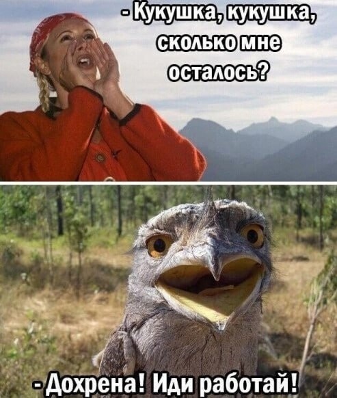 Юмор в картинках и без