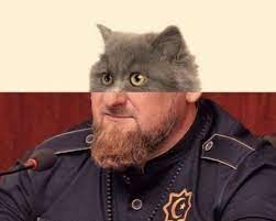 Что вы могли не знать об ослах