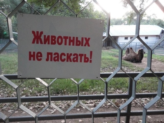 Картинки от Scodero