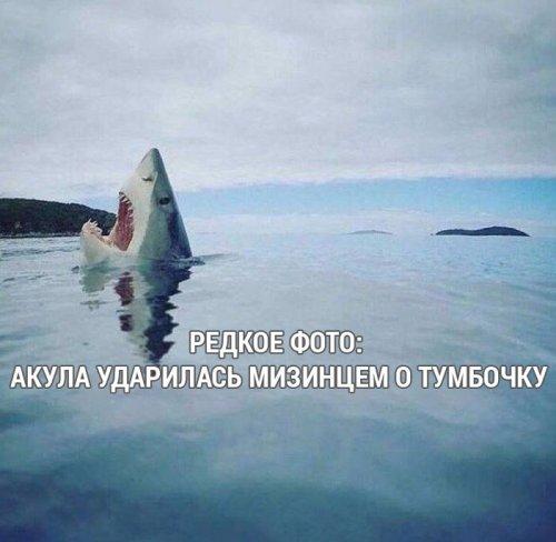 Деградильня