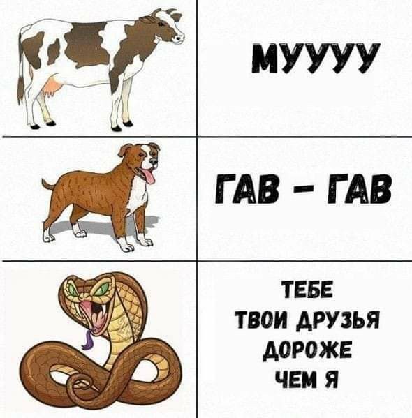 Нуштош 04.10.2024