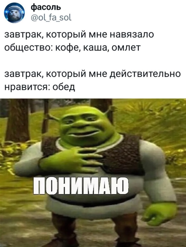 Весёлый полтишок 22.11.24