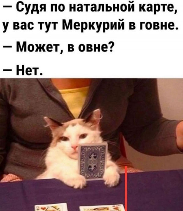 Пятниццо-баяниццо
