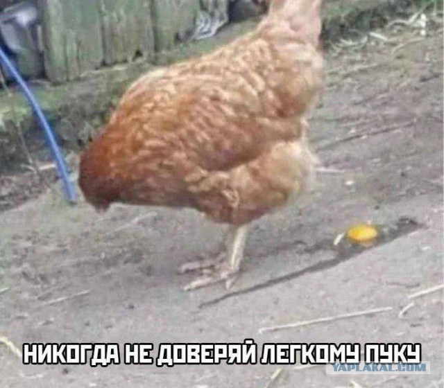 Так себе картинки 18.03.25
