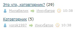 Это что, котовторник?