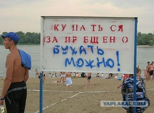 Свиньи на пляже