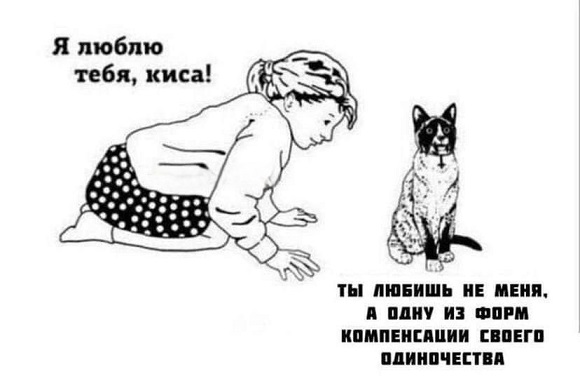 К котовторнику: подборка картинок-баянов с котиками и про котиков. Выпуск 12