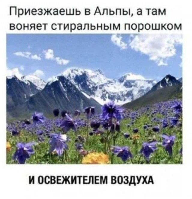 Чутка ебанины
