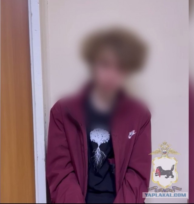 Школьник зарезал 14-летнюю подругу и ее соседку в Иркутской области