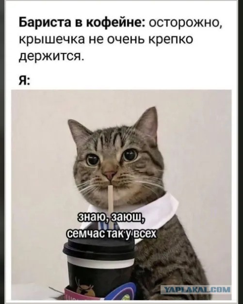 Так себе картинки 15.11.25