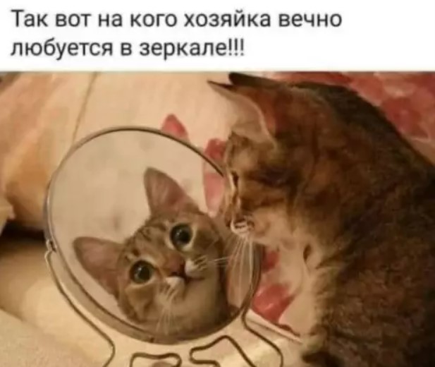 Картинки для деградации 125 (разной степени свежести)