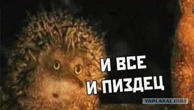 Очередь из судов, которая скопилась перед Ормузским проливом.