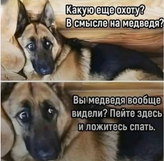 Хорошая новость