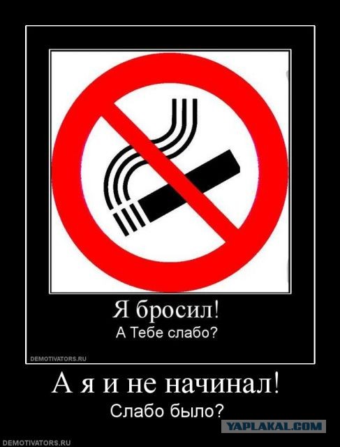 В Германии НЛО столкнулось с фурой