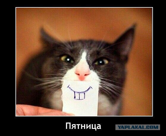 Картинки