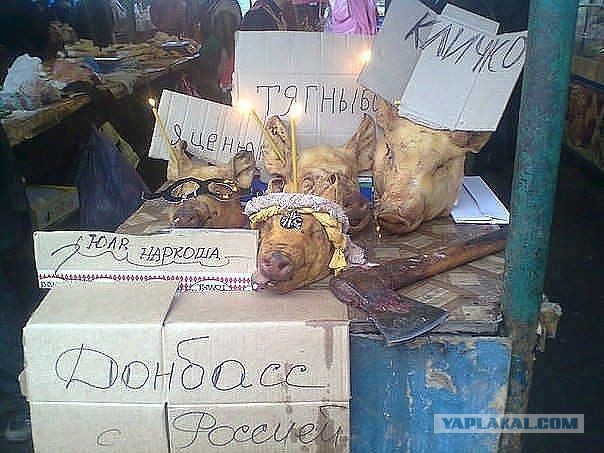 А ты проверил результаты победы Порошенко?