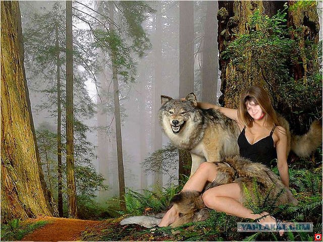 Дикие фото из социальных сетей