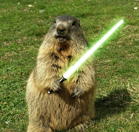 Плюсомет со шпалометом