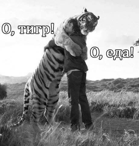 Животные, которых едят живыми