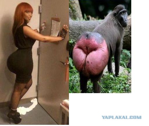 Вот это корма у дамочки!