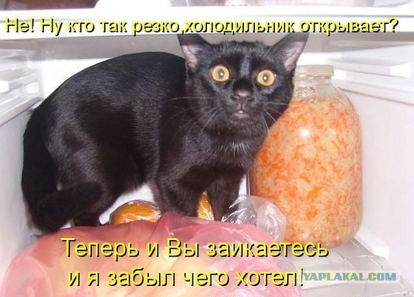 Немного картинок и юмора