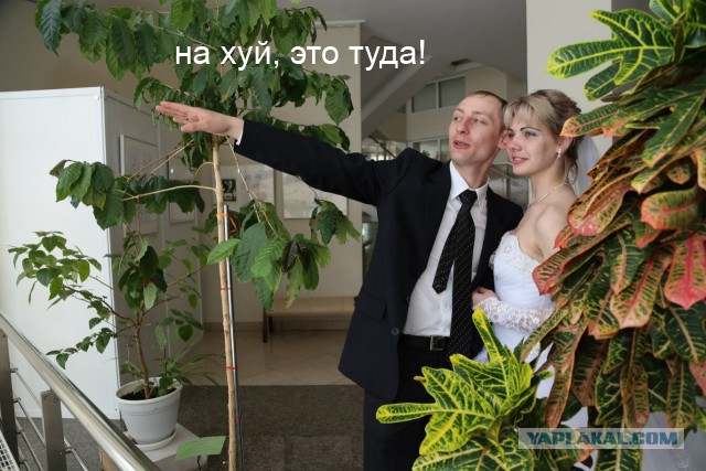 Адова "Хурма" часть 4