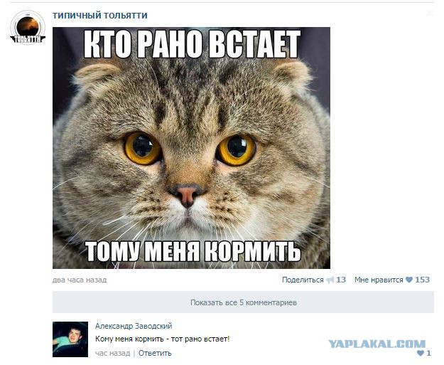 Забавные картинки.