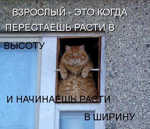 Картинки с буквами -11