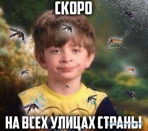 Картинки 12.05.2015