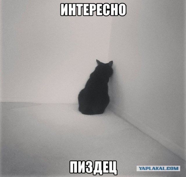Если есть ламинатор и свободное время.