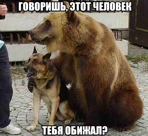 Картинки из сети