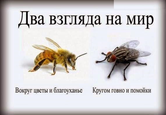 Минутка черного юмора на ЯПе
